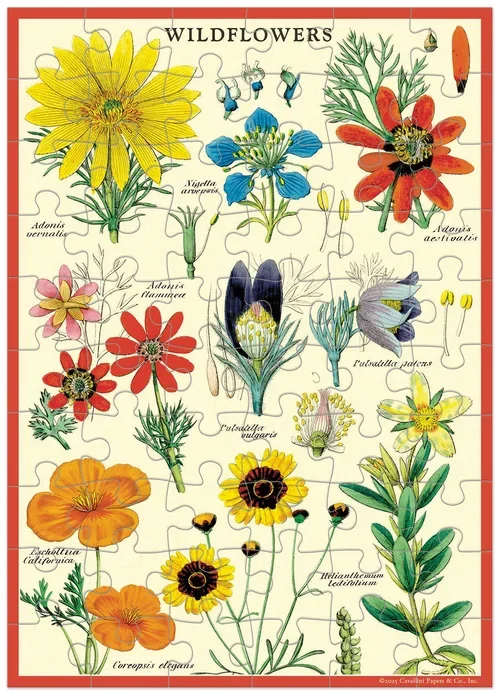 cavallini-puzzle-greeting-card-wildflowers-museum-outlets.webp