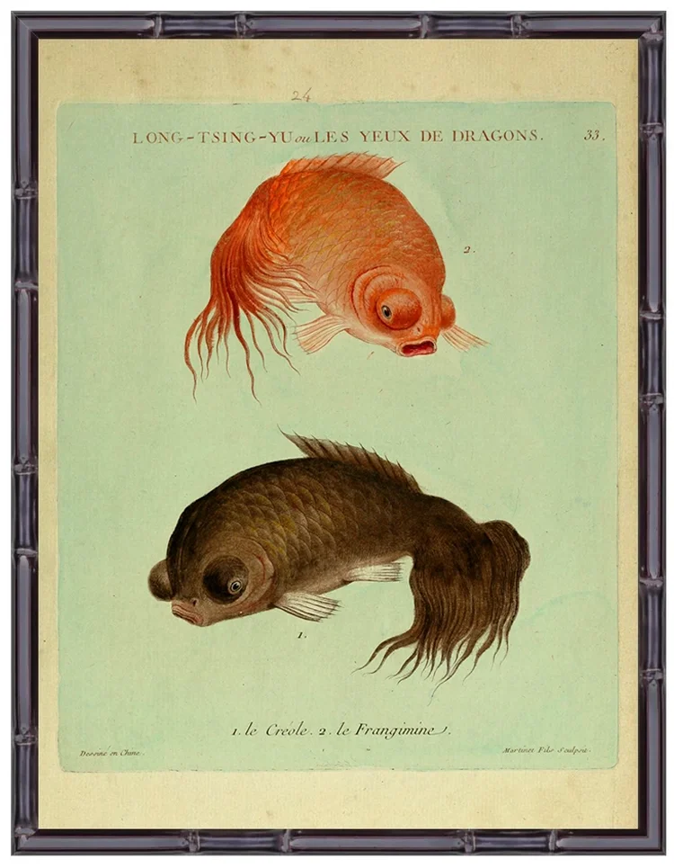 chinese-koi-fish-antique-asian-art-pl.-24-museum-outlets.webp