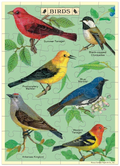 cavallini-puzzle-greeting-cards-birds-museum-outlets.webp