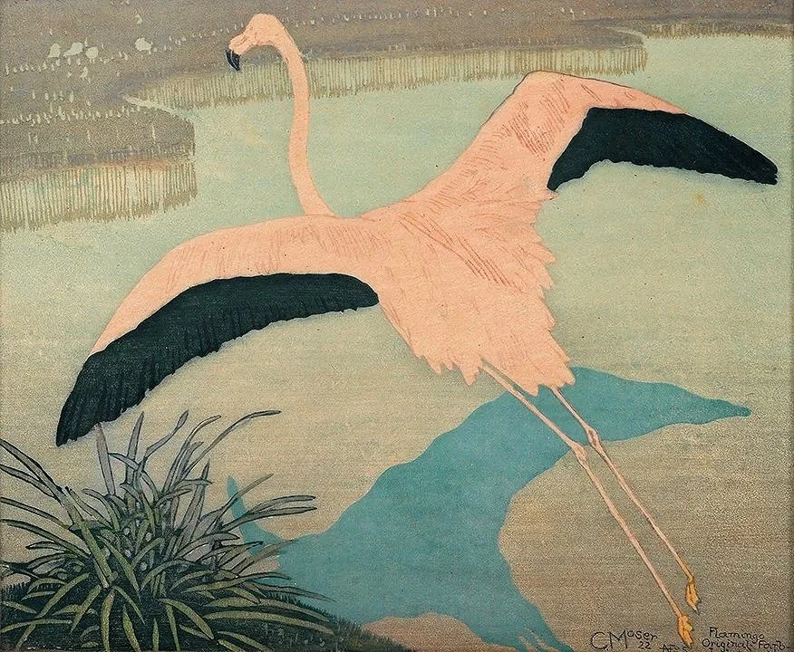 Flamingo-vintage-bird-print-museum-outlets.jpg