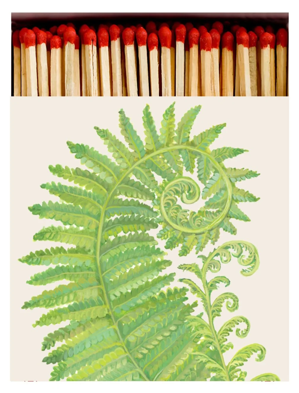fern decorative boxed matches