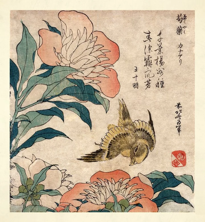 Housaki Peony and Canary Antique Asian Print