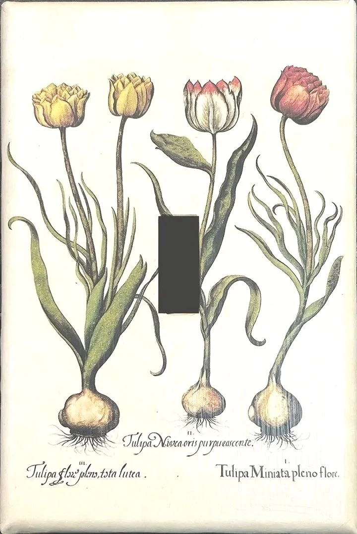 besler-tulips-light-switchplate-cover-museum-outlets.jpg (Copy)