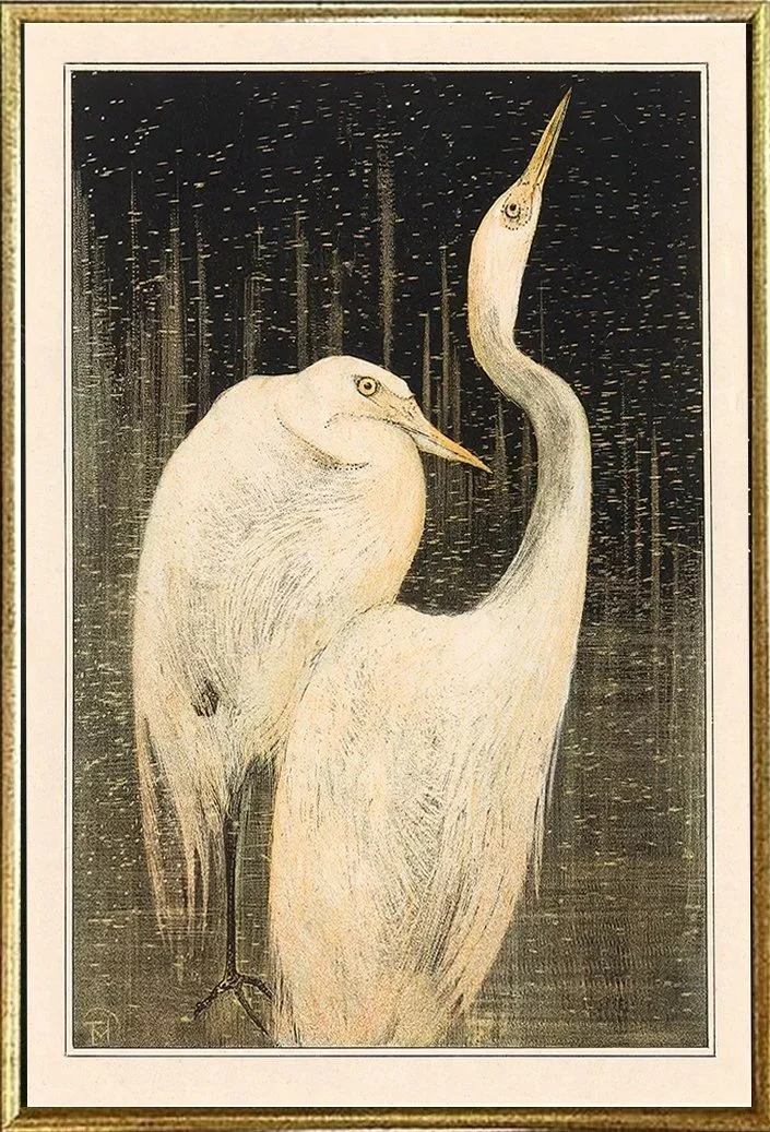 hoytema-two-egrets-fine-art-print--museum-outlets.jpg