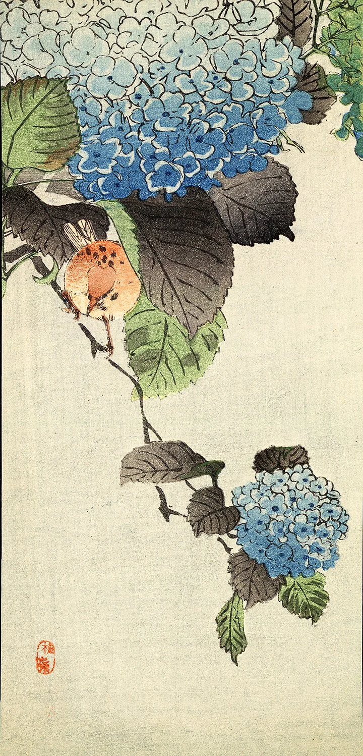 Bird-blue-Hydrangea-antique-asian-print.jpg
