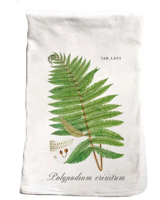 fern-flour-sac-kitchen-towel-museum-outlets.jpg