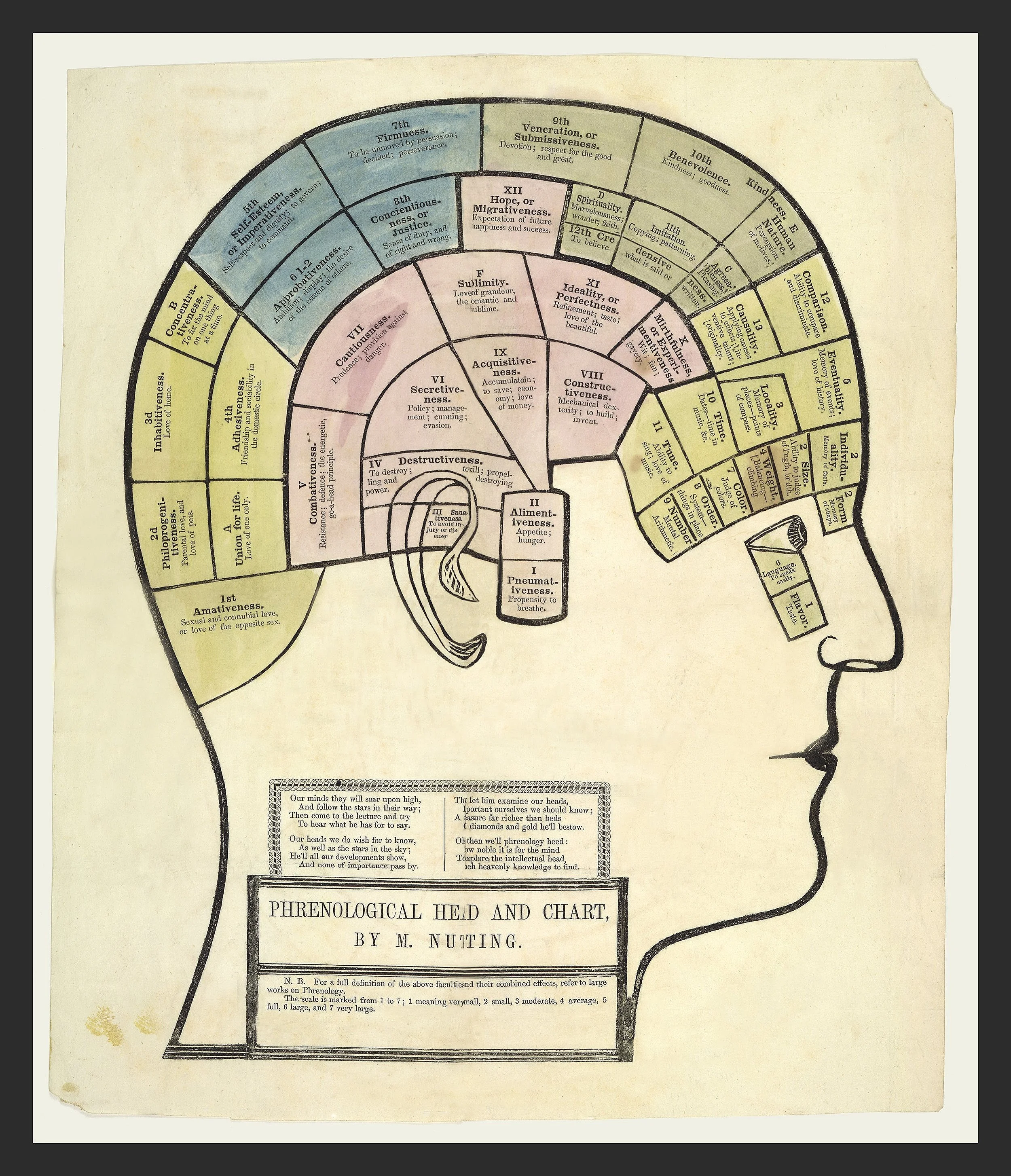 Phrenology Vintage Ephemera Poster