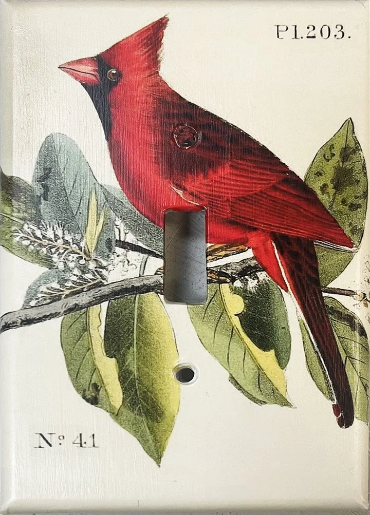 audubon-cardinal-decoupage-switchplate-cover-museum-outlets.jpg