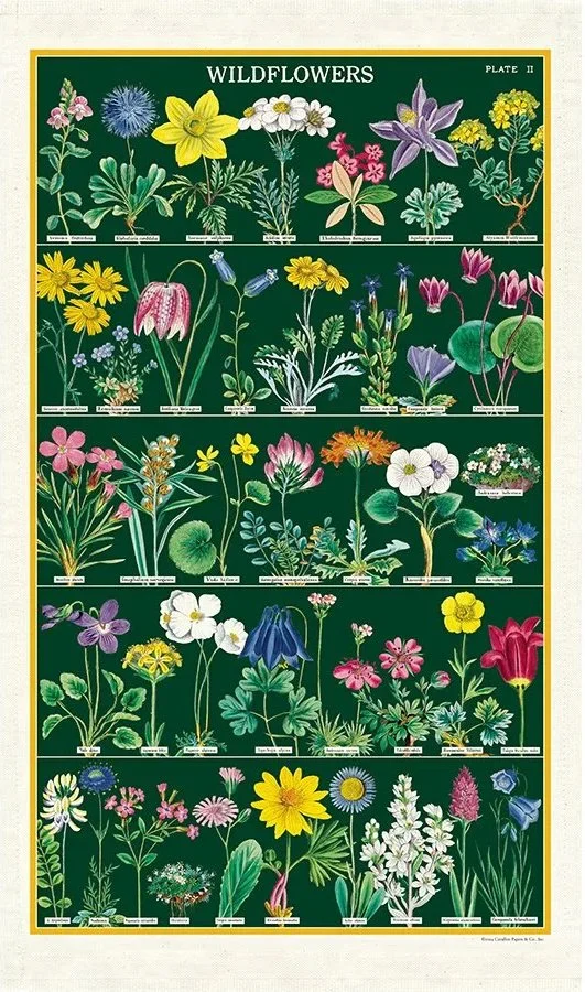 wildflowers-2-green-with-flowers-decorative-tea-towels-cavallini-museum-outlets.jpg