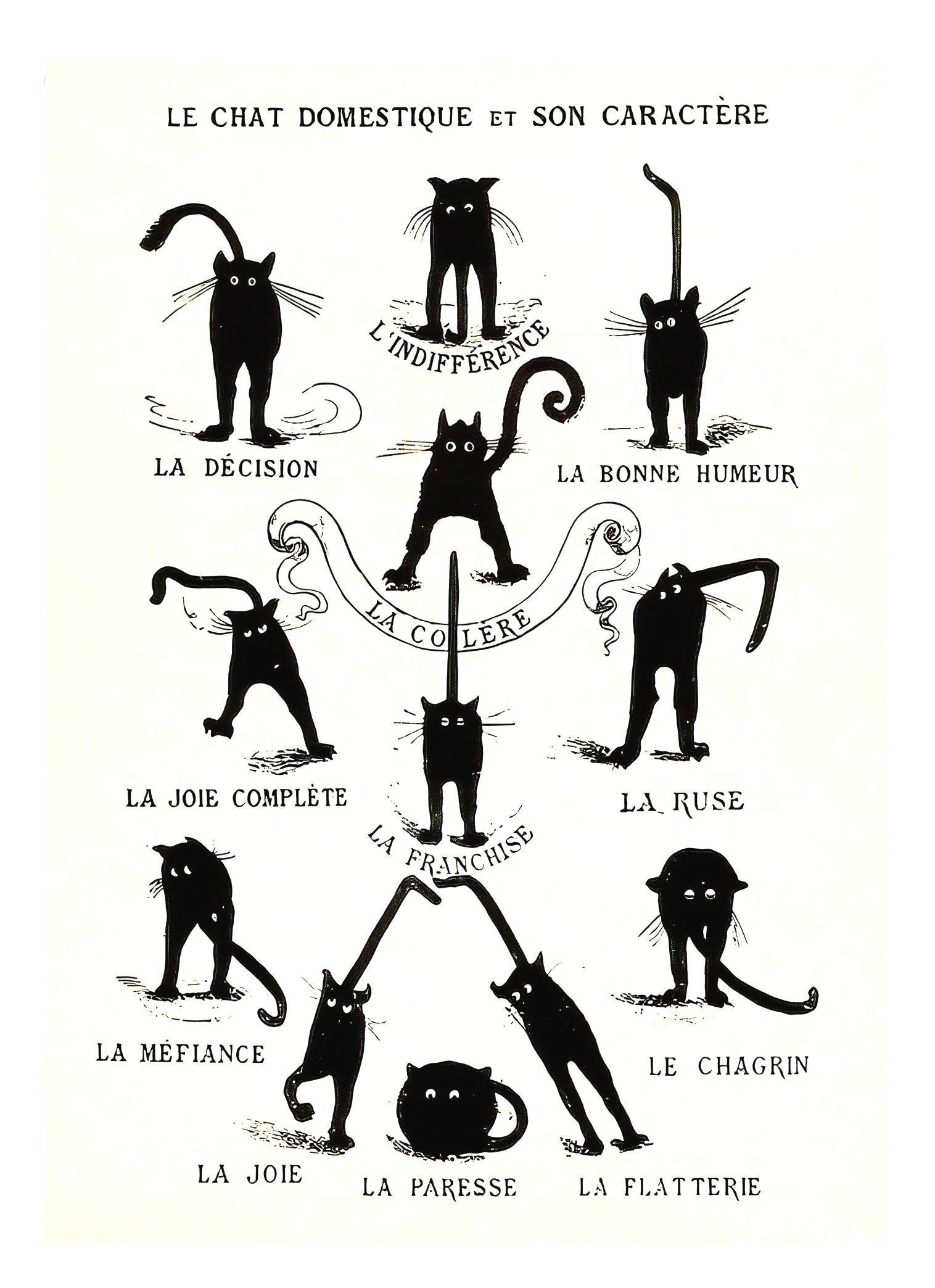 domestic-cat-characters-note-card-museum-outlets.jpg