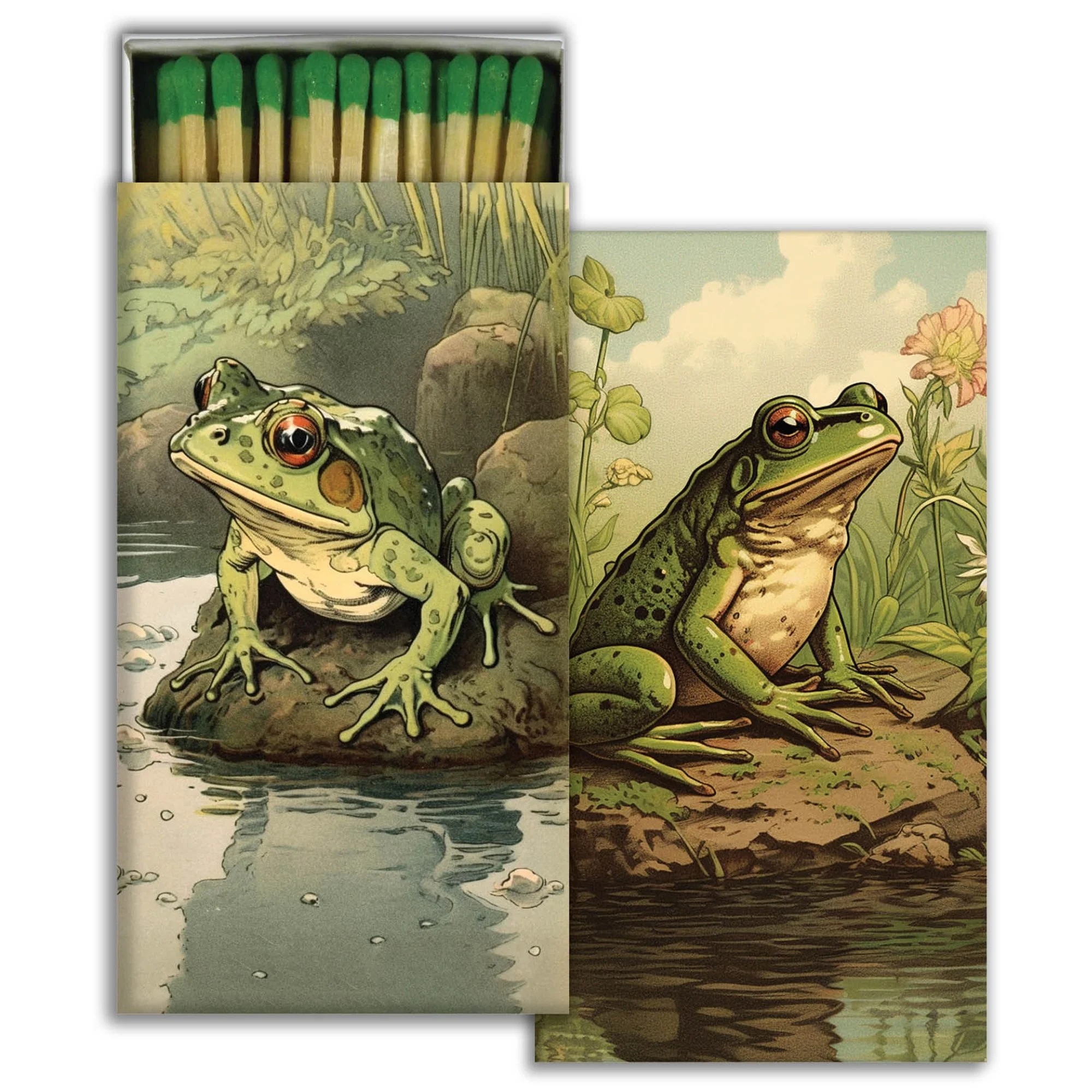 vibrant-toad-decorative-boxed-matches-museum-outlets.jpeg