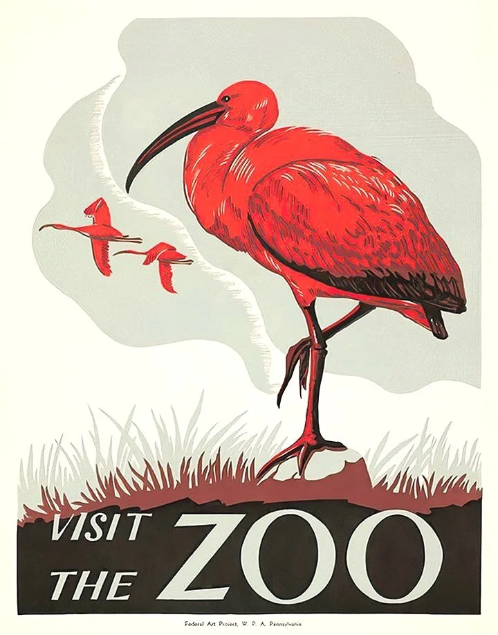 ibis-visit-the-Zoo-vintage-wpa-poster-museum-outlets.jpg