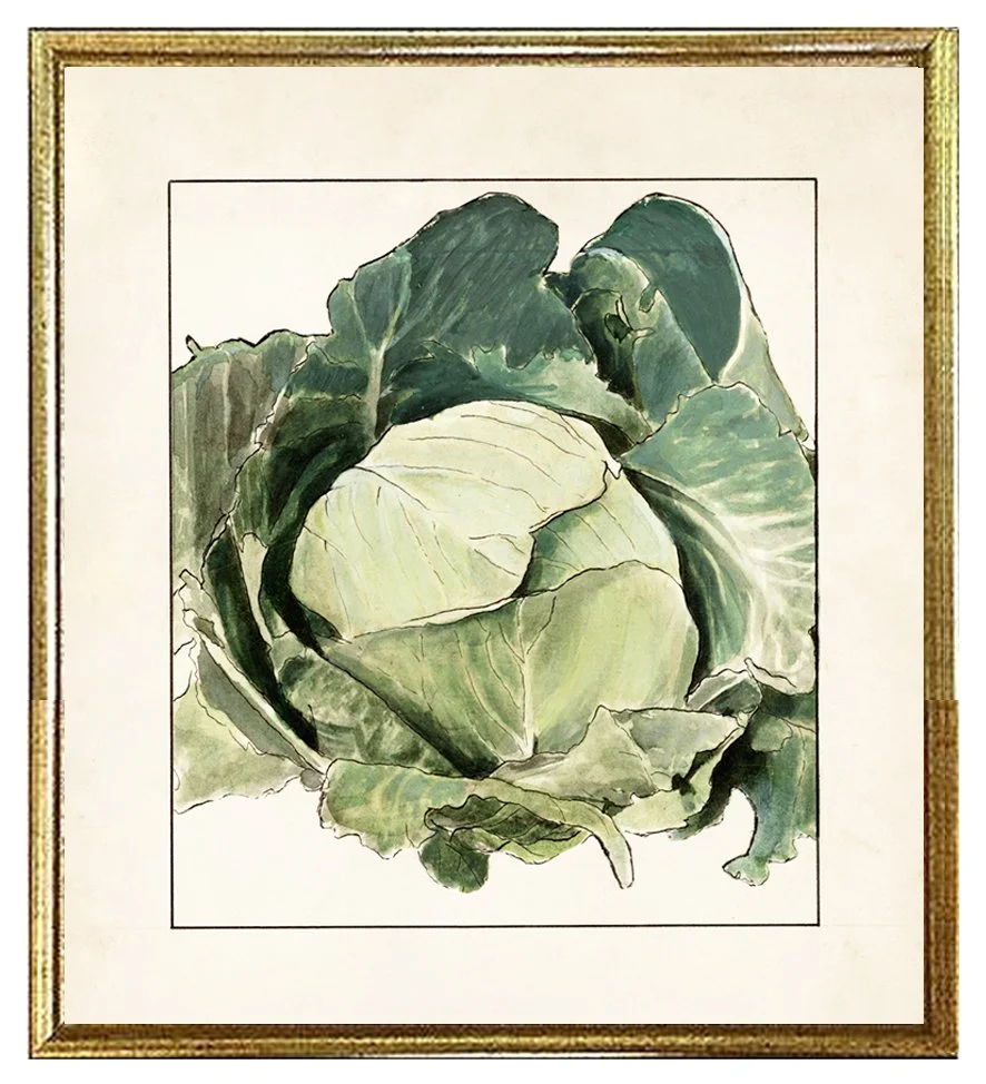 cabbage-vintage-vegetable-print--museum-outlets.jpg