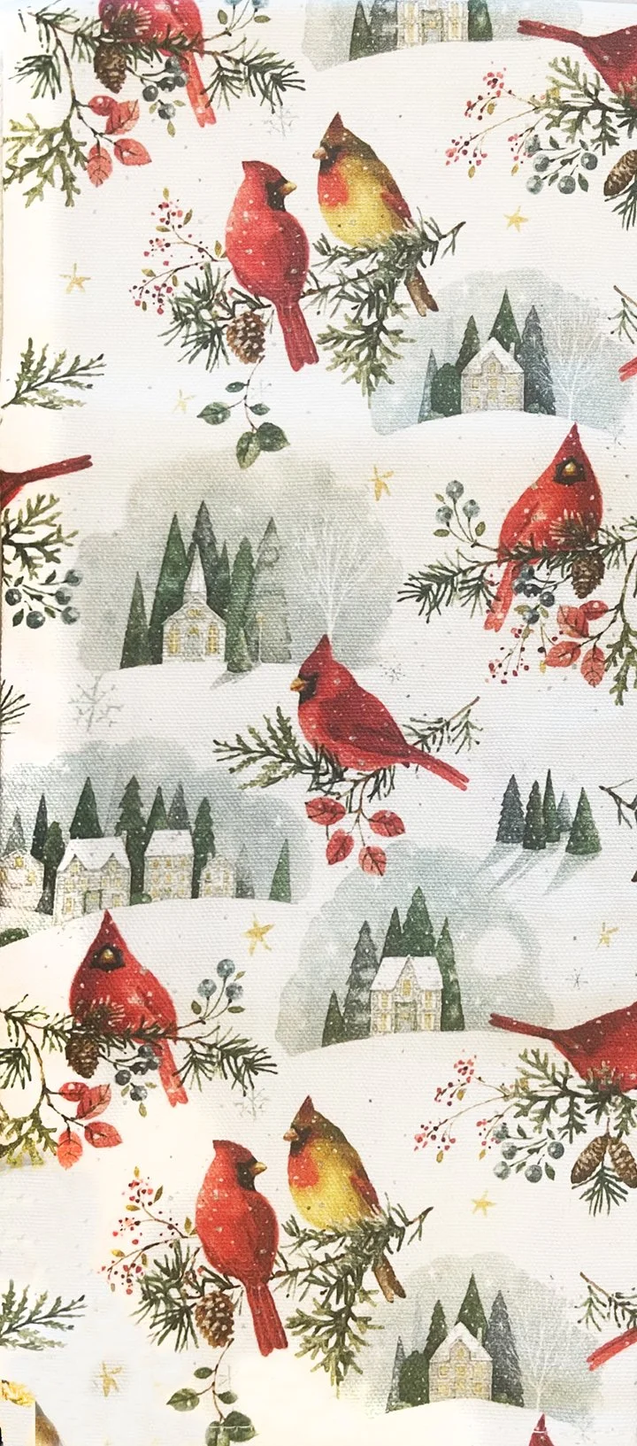 winter-cardinal-kitchen-towel-museum-outlets.jpg