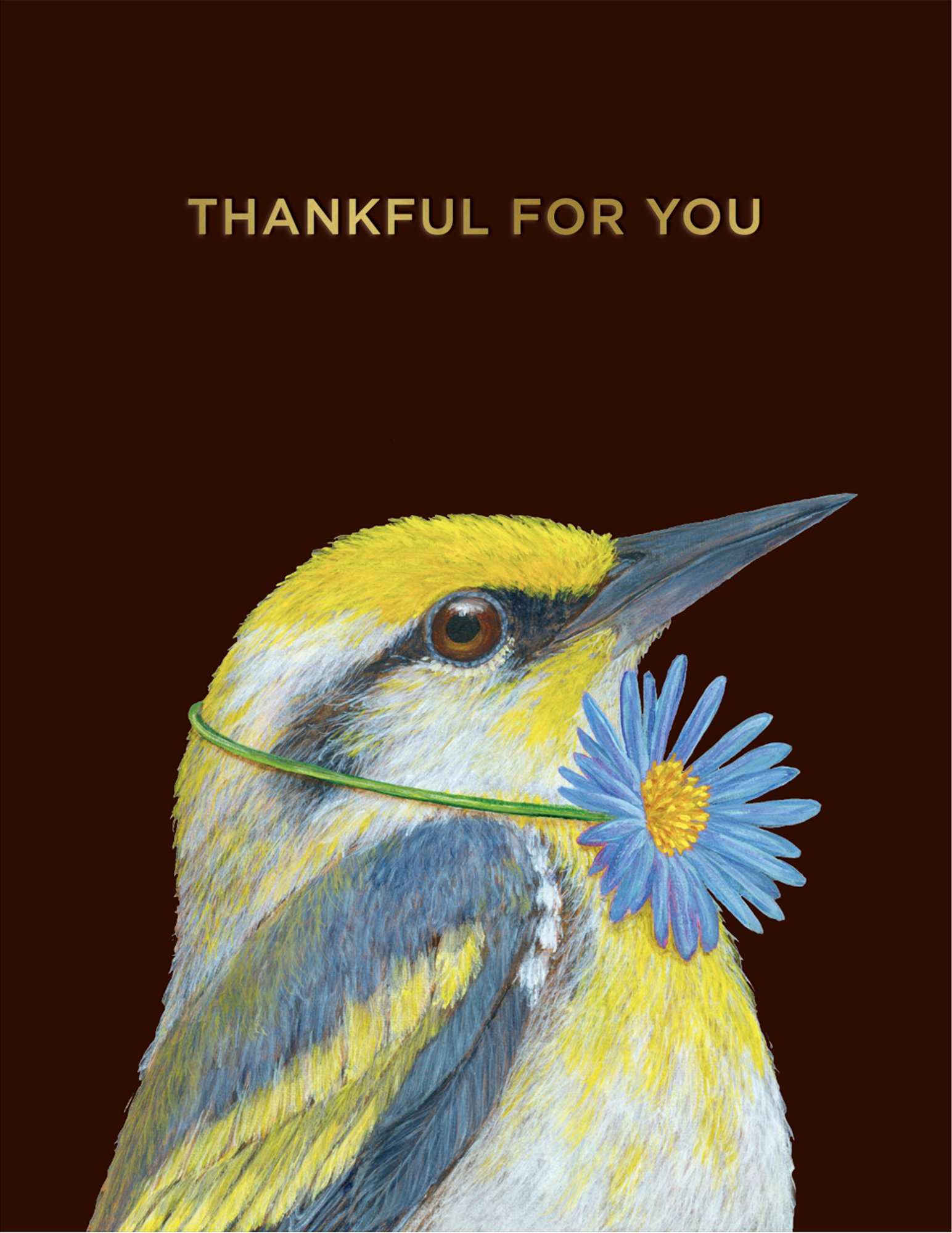 thankful-for-you-vicki-sawyer-warbler-card.jpeg