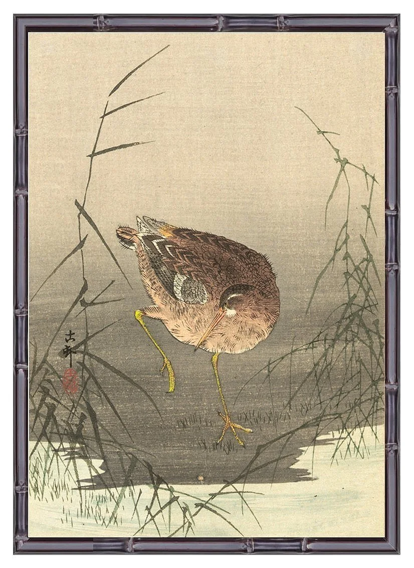 japanese woodcut snipe bird antique asian print