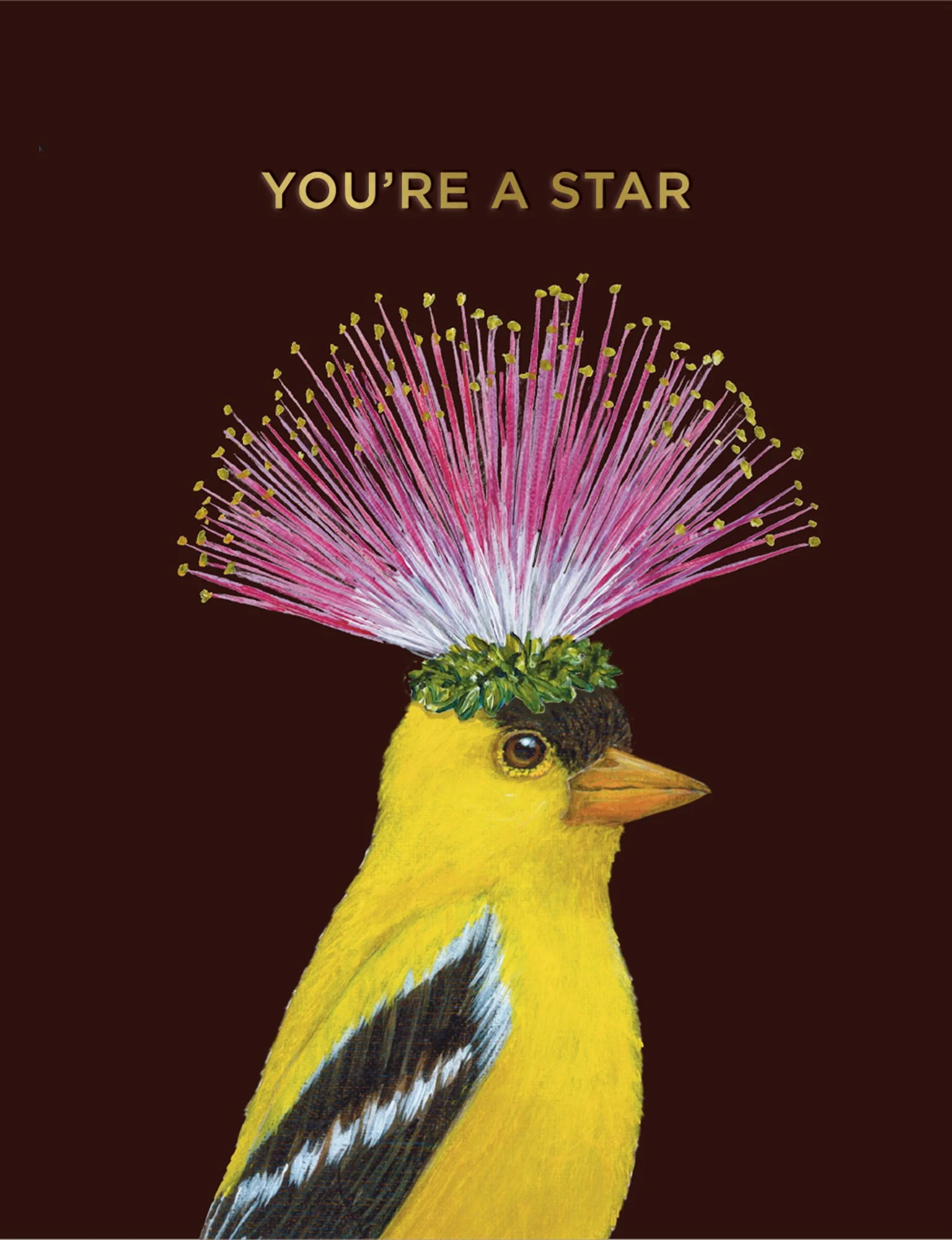 vicki-sawyer-notecard-youre-a-star.jpeg