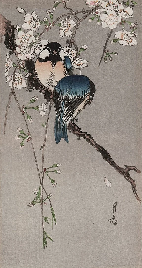 birds on cherry branch antique asian  print