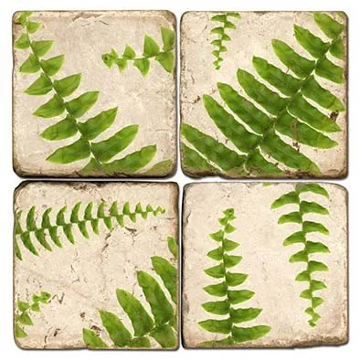 studio-vertu-fern-coasters-museum-outlets.jpg
