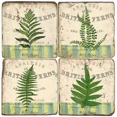 studio-vertu-british-ferns-marble-coasters-museum-outlets.jpg