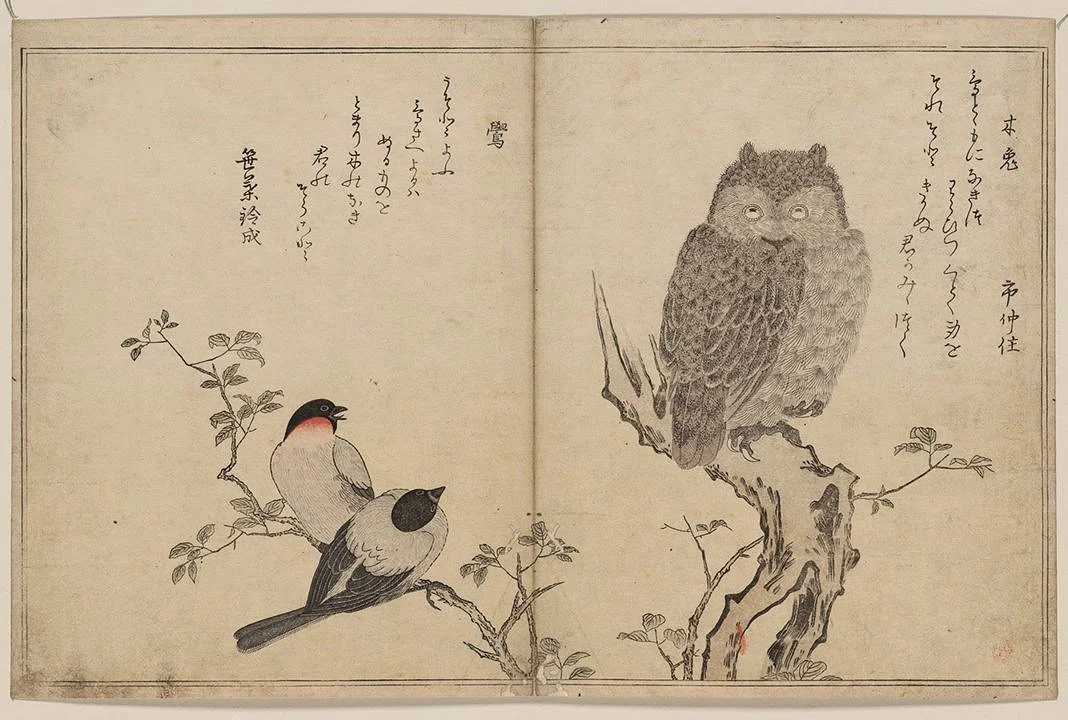 owl and bird antique asian print