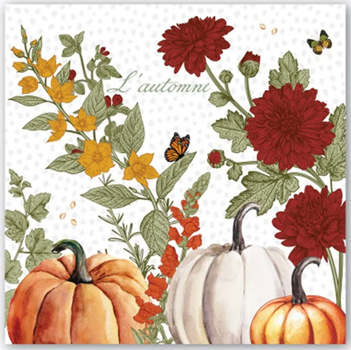michel-design-works-pumpkin-prize-thanksgiving-decorative-napkin-museum-outlets.jpg
