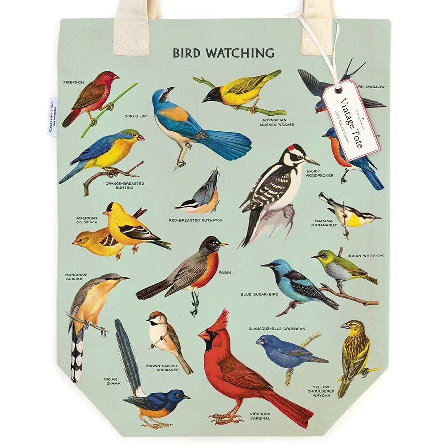 cavallini-bird-watching-canvas-tote-bag-museum-outlets.jpg