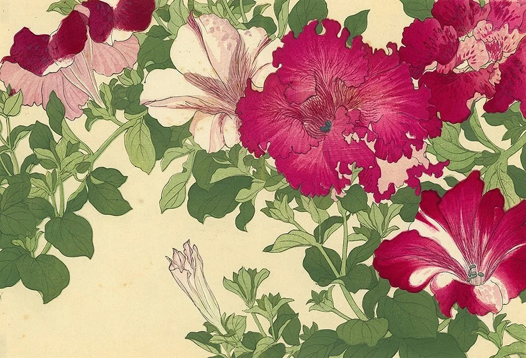 Japanese Woodblock Petunias Antique Asian Print