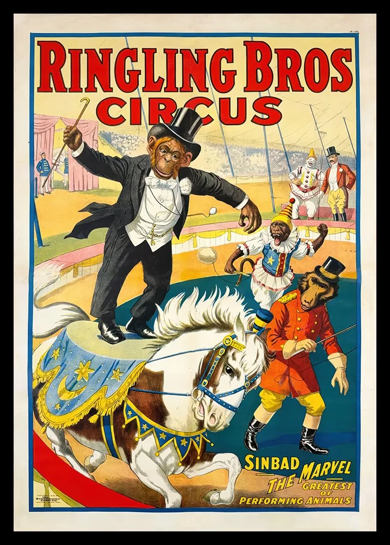 Ringling-Bros-Sinbad-the-marvel-vintage-circus-poster--museum-outlets.jpg