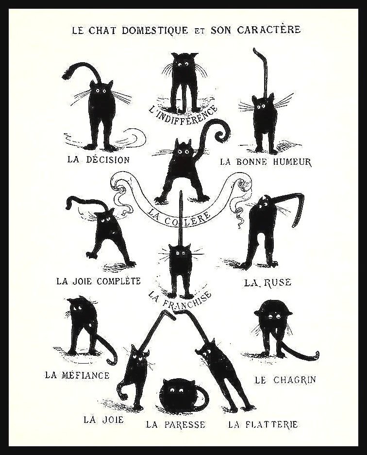 domestic-cat-le-chat-domestique-et-son-caractere-cats-vintage-french-poster-museum-outlets.jpg
