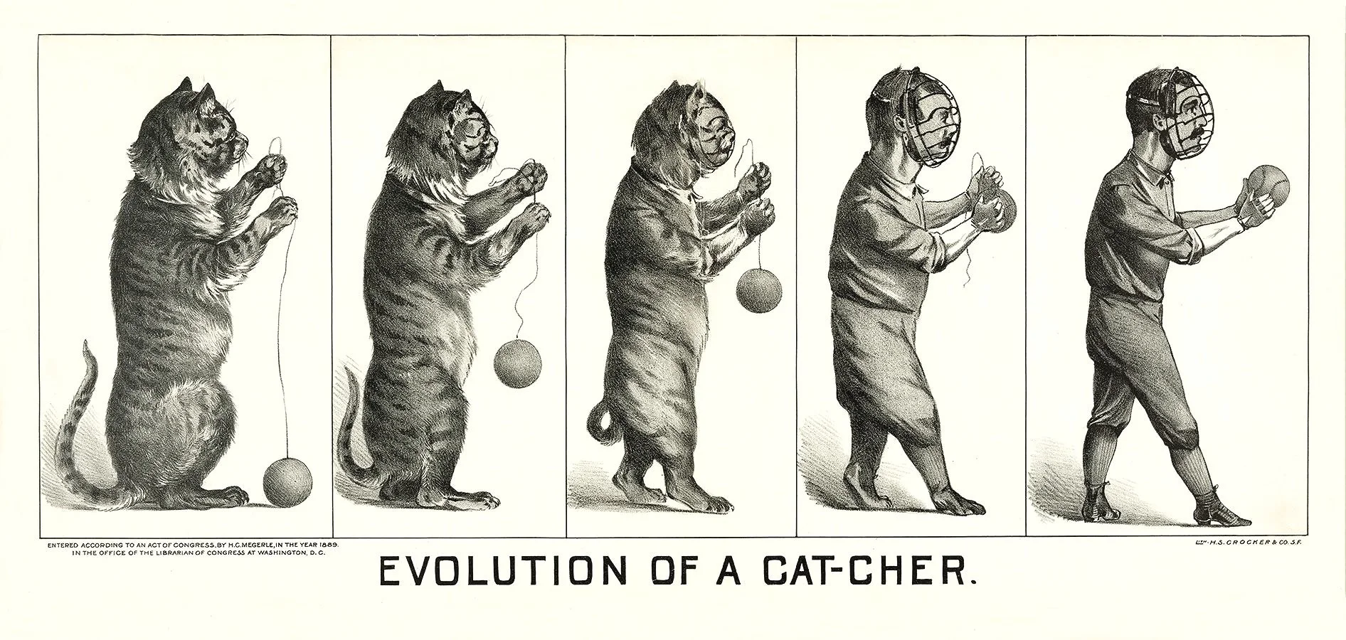 BAS-21-evolution-of-a-cat-cher-catcher-giclee-printed-sports-vinatge-baseball-framed-unframed-print-museum-outlets.jpg