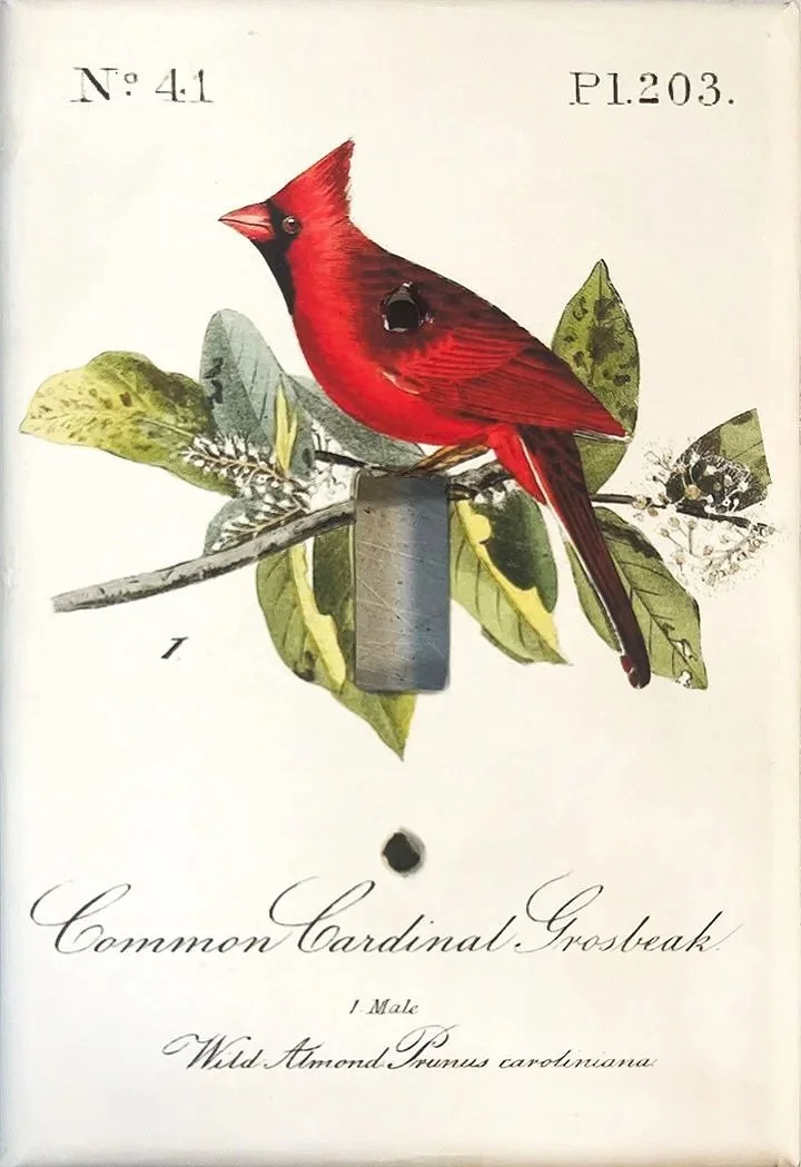 audubon-cardinal-decorative-light-switchplate-museum-outlets.jpg