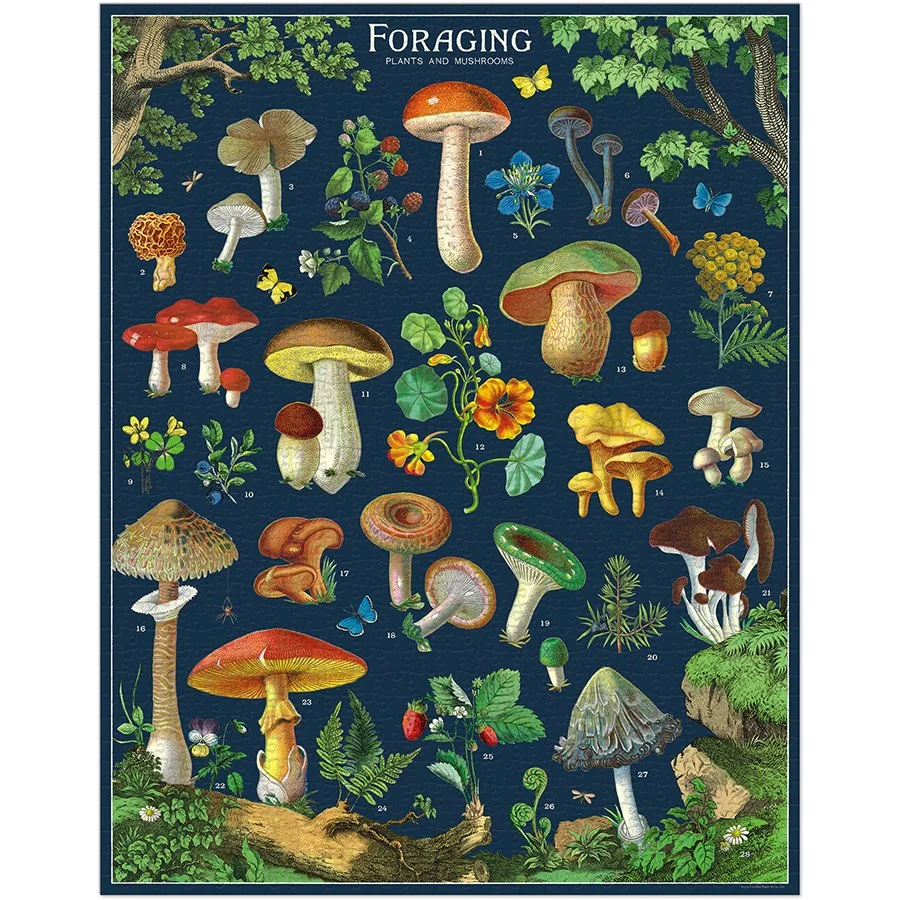 foraging-mushroom-dark-blue-puzzle-cavallini-museum-outlets.jpeg