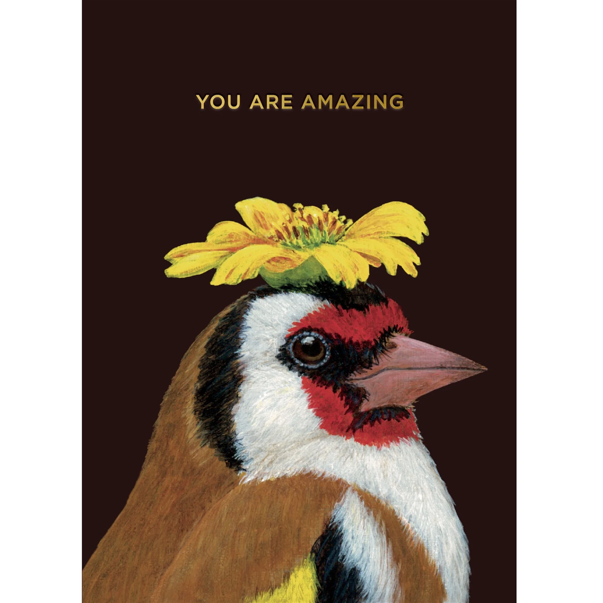 vicki-sawyer-you-are-amazing-goldfinch-notecard-museum-outlets.jpeg