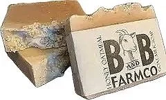 honey-oatmeal-goat-milk-soap-museum-outlets.jpg