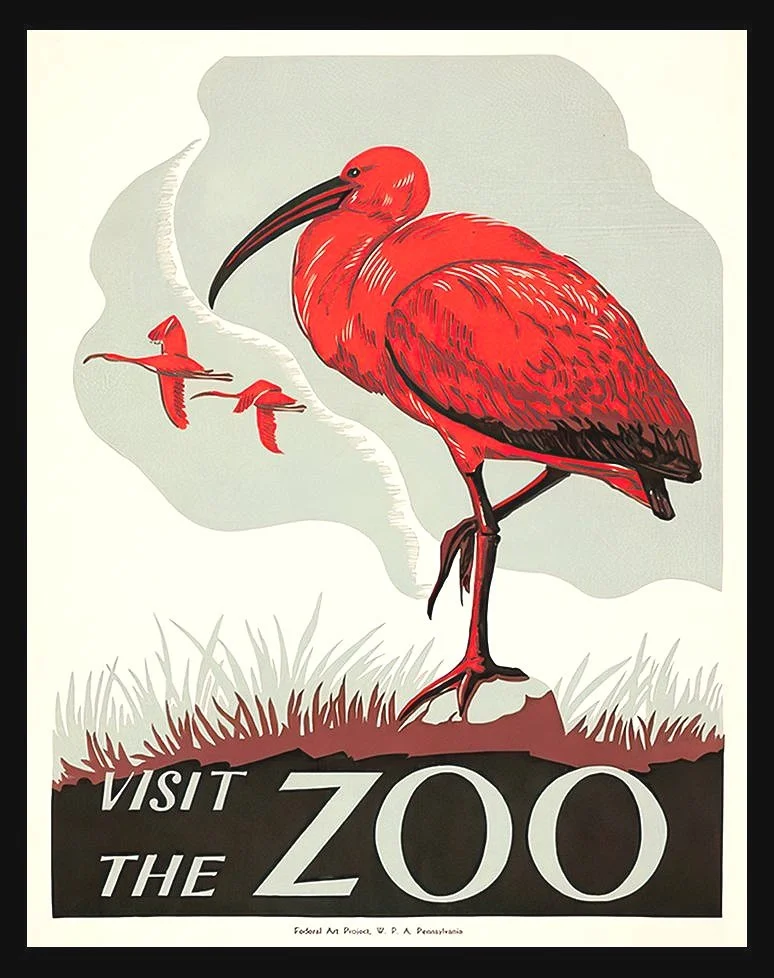ibis-visit-the-Zoo-vintage-wpa-poster--museum-outlets.jpg