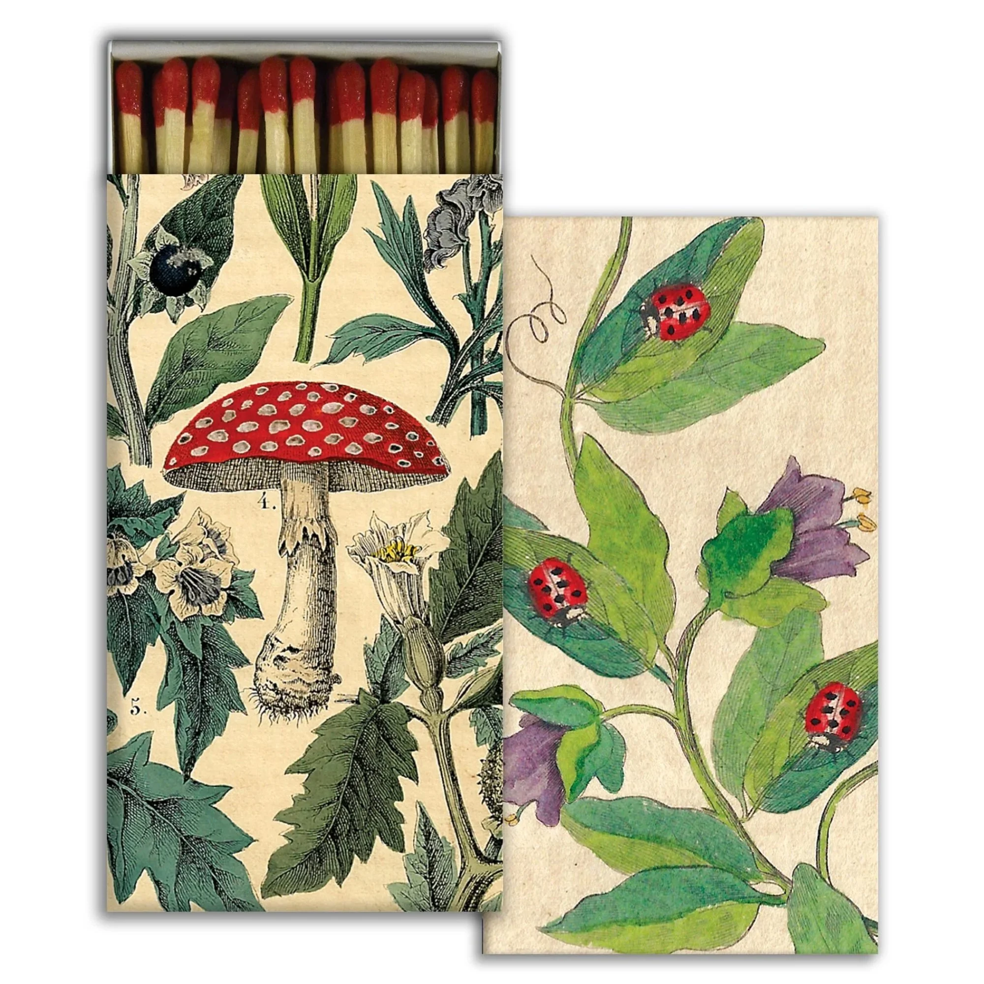 mushrooms-decorative-boxed-matches-museum-outlets.jpg