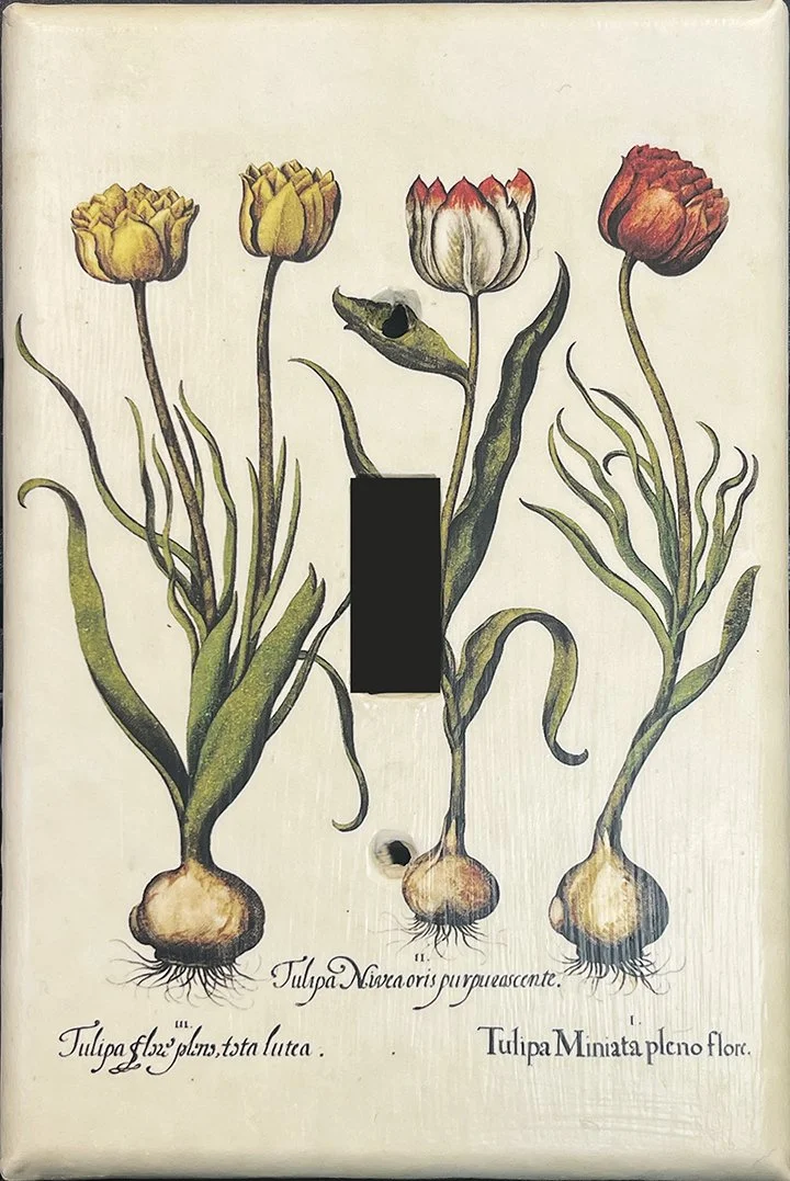 besler-tulips-light-switchplate-cover-museum-outlets.jpg