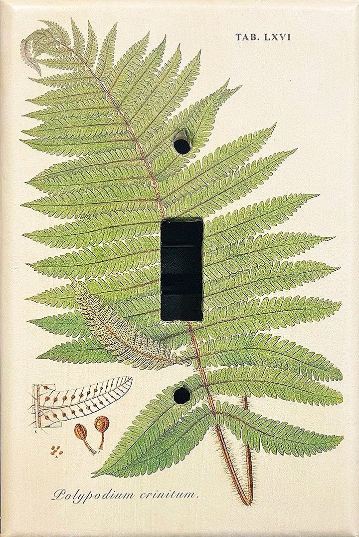 antique-fern-decorative-decoupage-switchplate-cover-museum-outlets.jpg