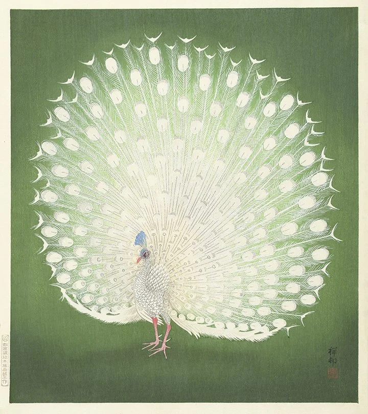 peacock-antique-asian-print-museum-outlets.jpg
