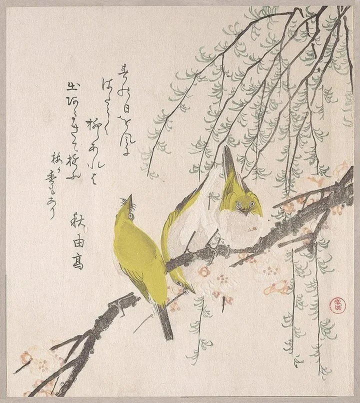 Japanese-white-eyes-with-plum-tree-willow-antique-asian-print.jpg