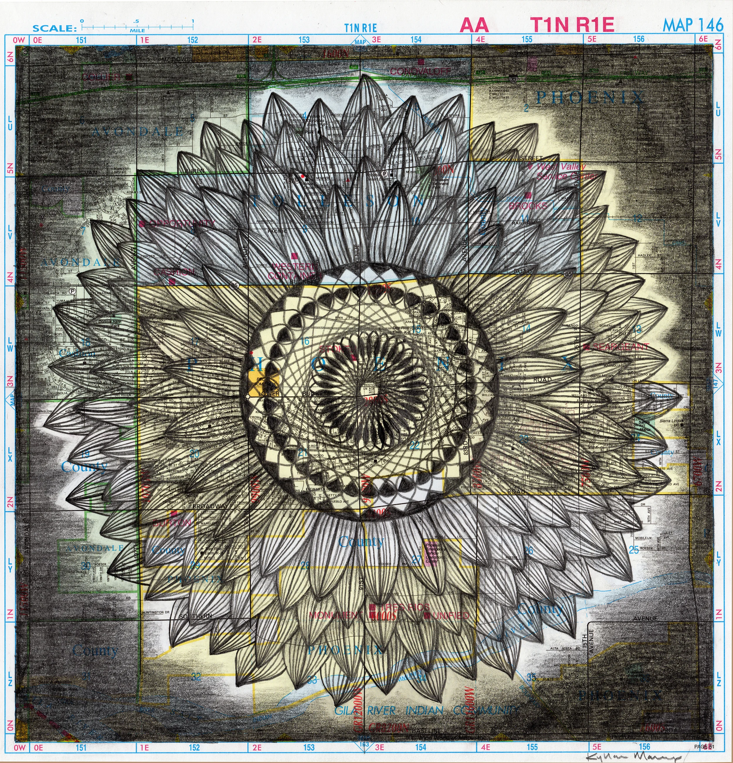 Phoenix Sunflower  300 print.jpg