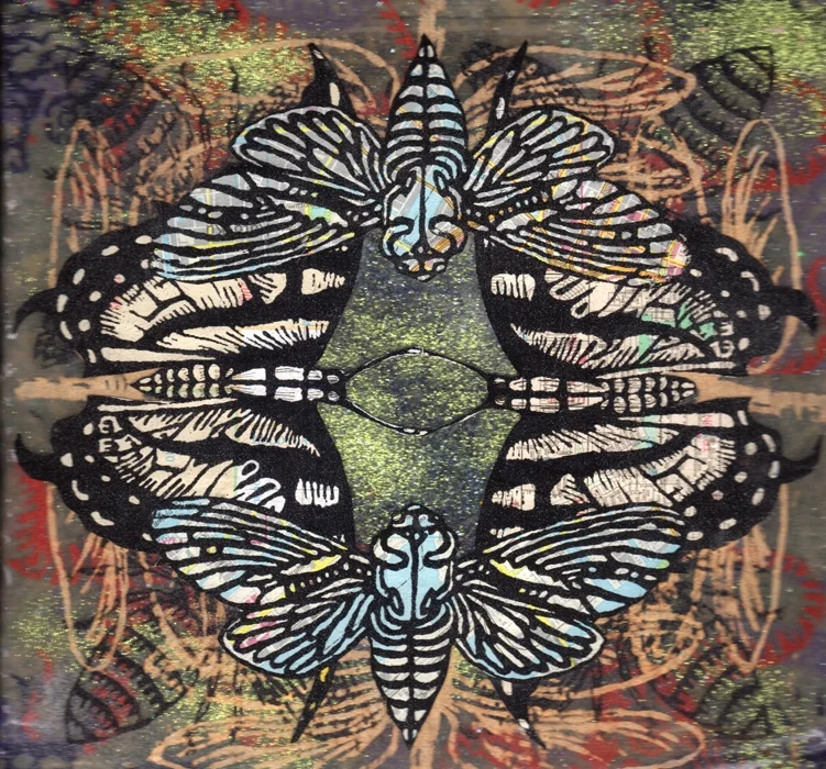 Cicada Kaleidoscope 1