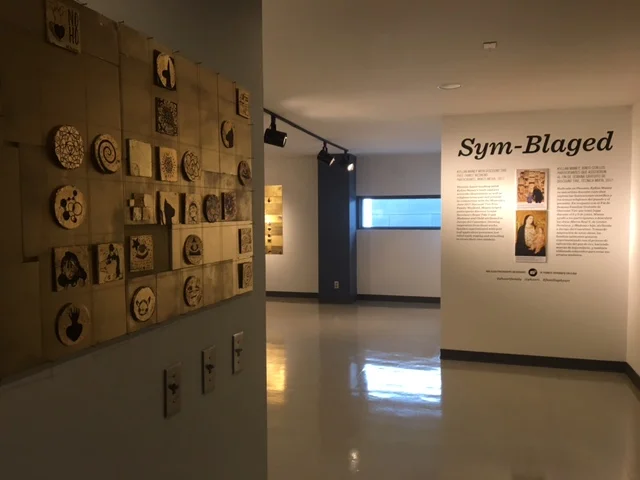 Sym-blaged - The Phoenix Art Museum 2017
