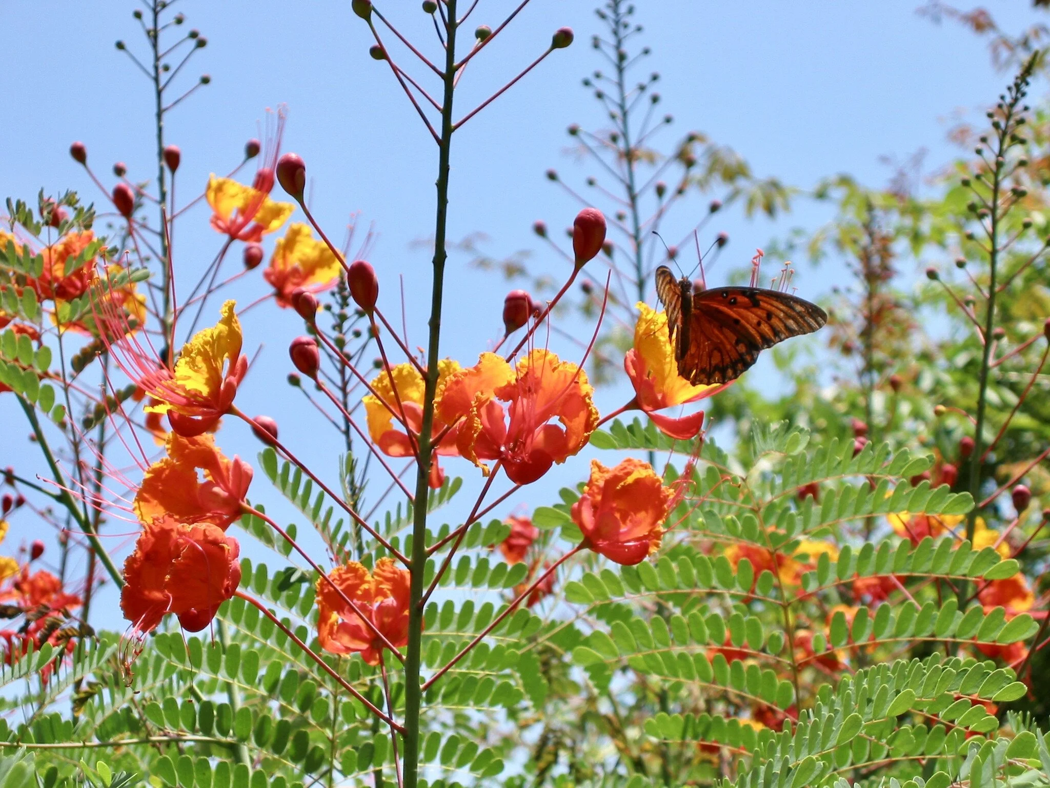 WEEKEND FILE - JUNE 26, 2020