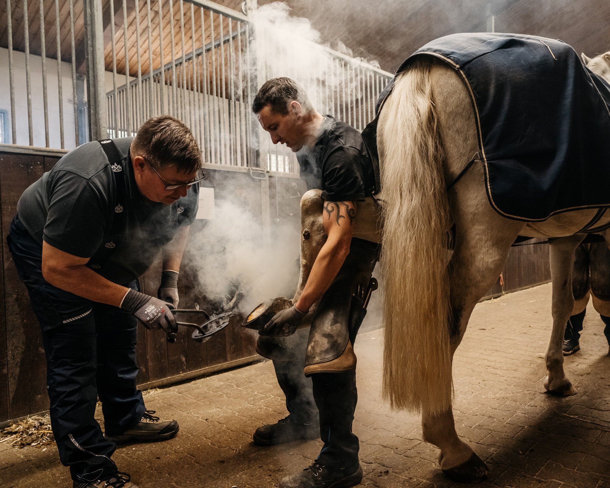  Horseshoes, Farrier Rickus 