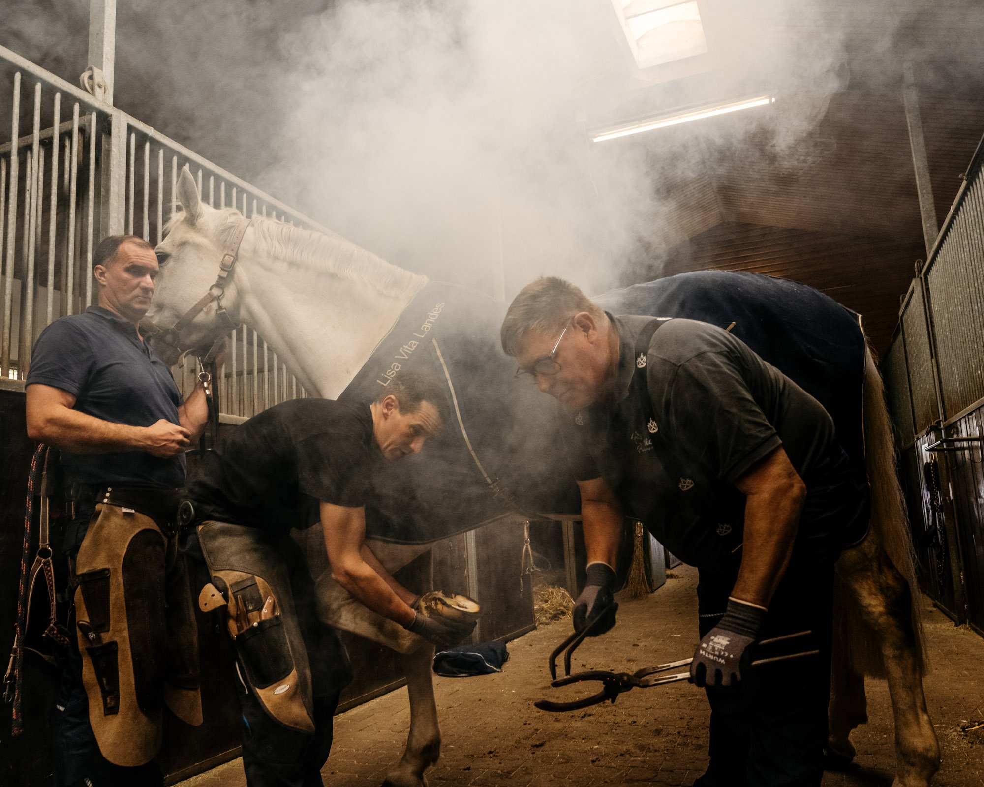  Horseshoes, Farrier Rickus 