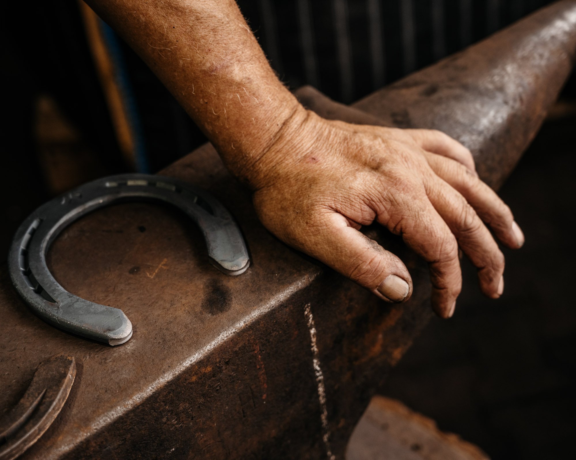  Horseshoes, Farrier Rickus 