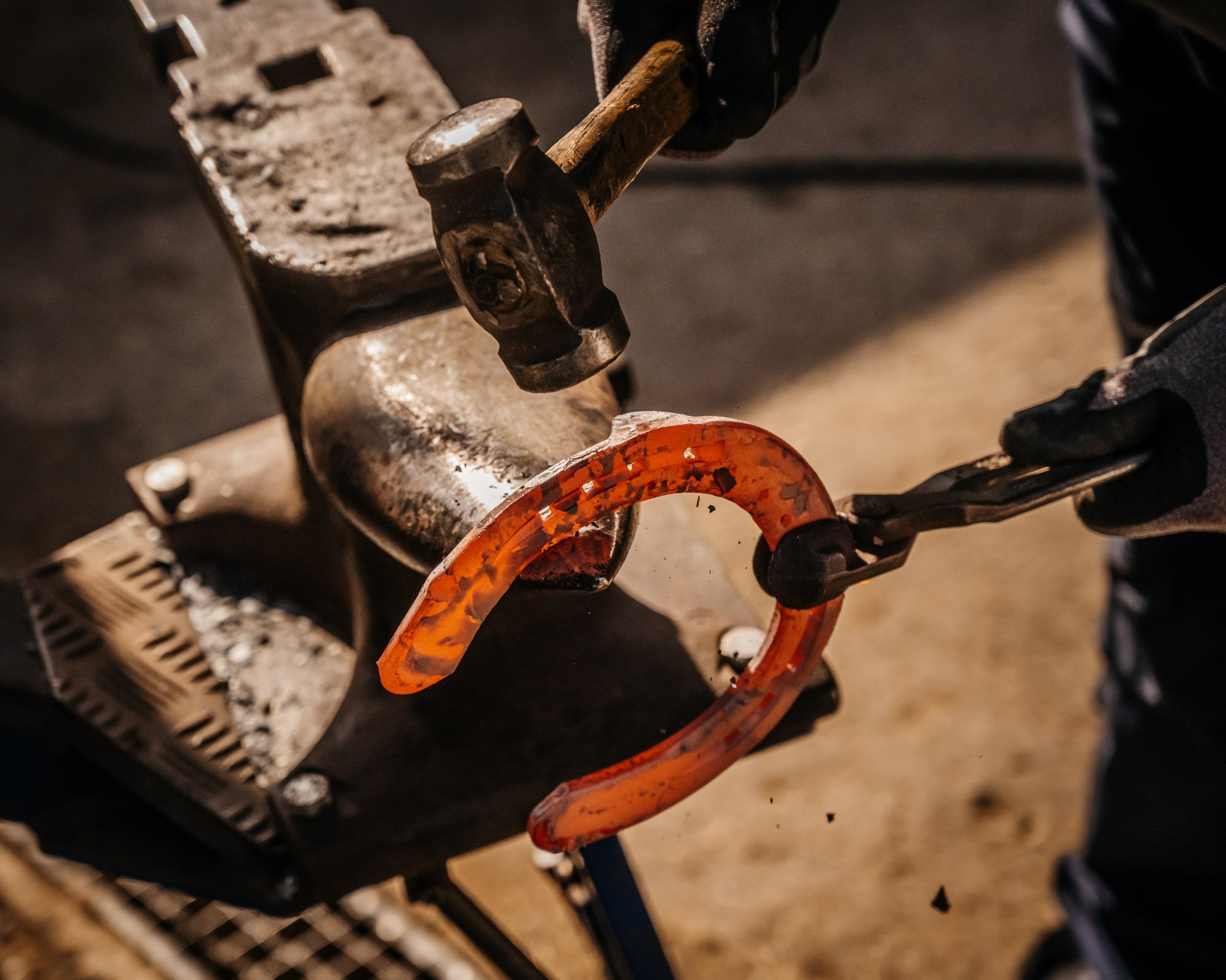  Horseshoes, Farrier Rickus 