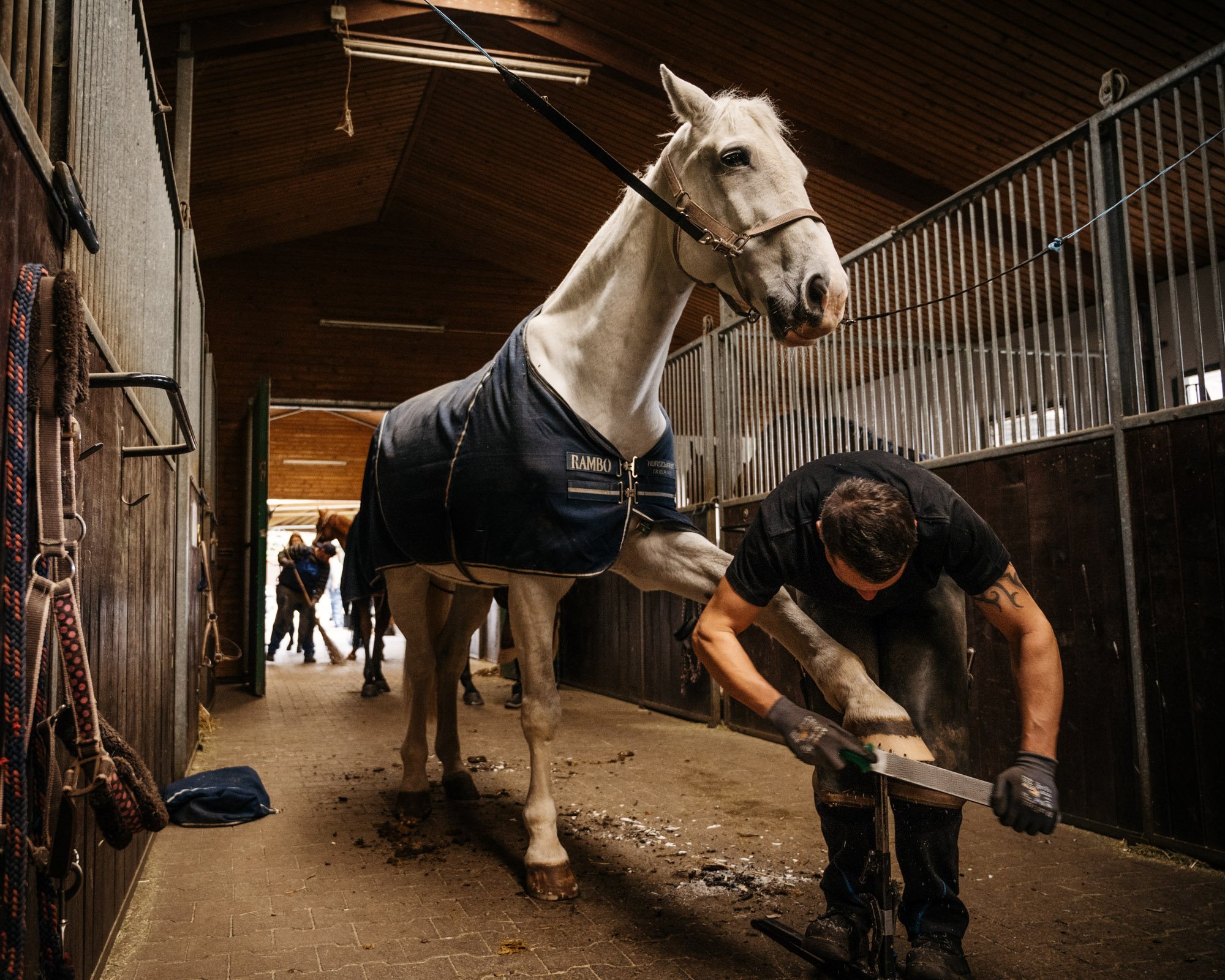  Horseshoes, Farrier Rickus 